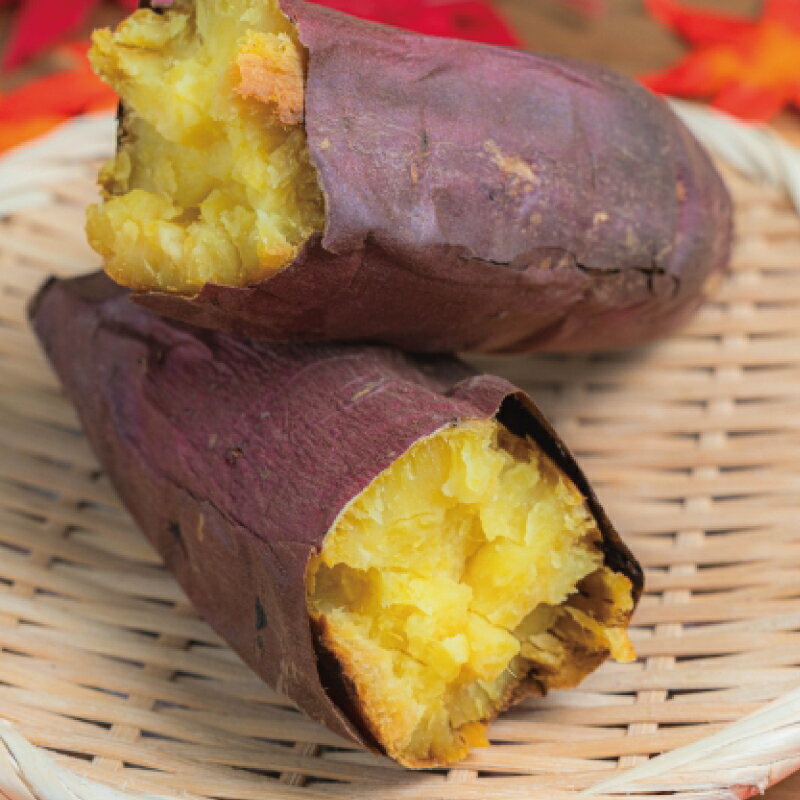 訳あり さつまいも シルクスイート 10kg 訳アリ 訳有 サツマイモ 薩摩芋 さつま芋 デザート しるくすいーと スイーツ 甘芋 スイートポテト sweet potato 蜜 蜜芋 芋 イモ 旬 秋野菜 おやつ 数量限定 農家直送 産地直送 神奈川 湘南 藤沢 フロムベジ湘南