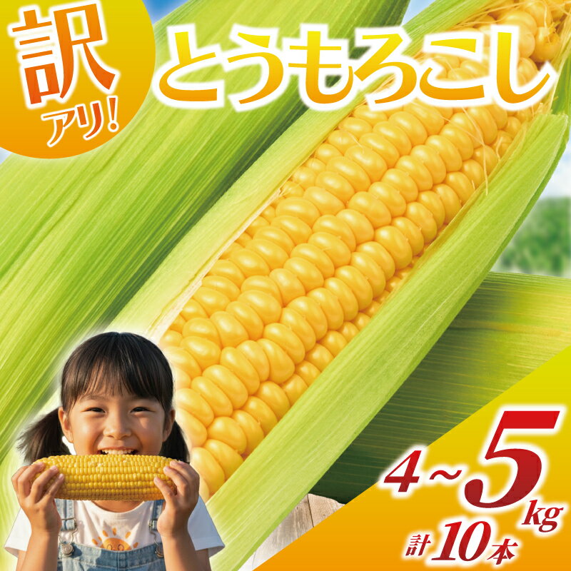 訳あり とうもろこし 計 10本 約 4 〜 5kg おまかせ 雪の妖精 ミルフィーユ 訳アリ 訳有 朝採り とれたて トウモロコシ 先行予約 2026年6月発送 コーン 新鮮 とうきび 国産 野菜 やさい 数量限定 農家直送 産地直送 神奈川 湘南 藤沢 フロムベジ湘南