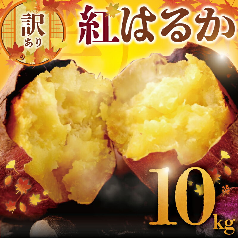訳あり さつまいも 紅はるか 10kg 訳アリ 訳有 サツマイモ 薩摩芋 さつま芋 デザート べにはるか スイーツ 甘芋 スイートポテト 芋 イモ 旬 秋野菜 秋の味覚 おやつ 食物繊維 数量限定 農家直送 産地直送 神奈川 湘南 藤沢 フロムベジ湘南
