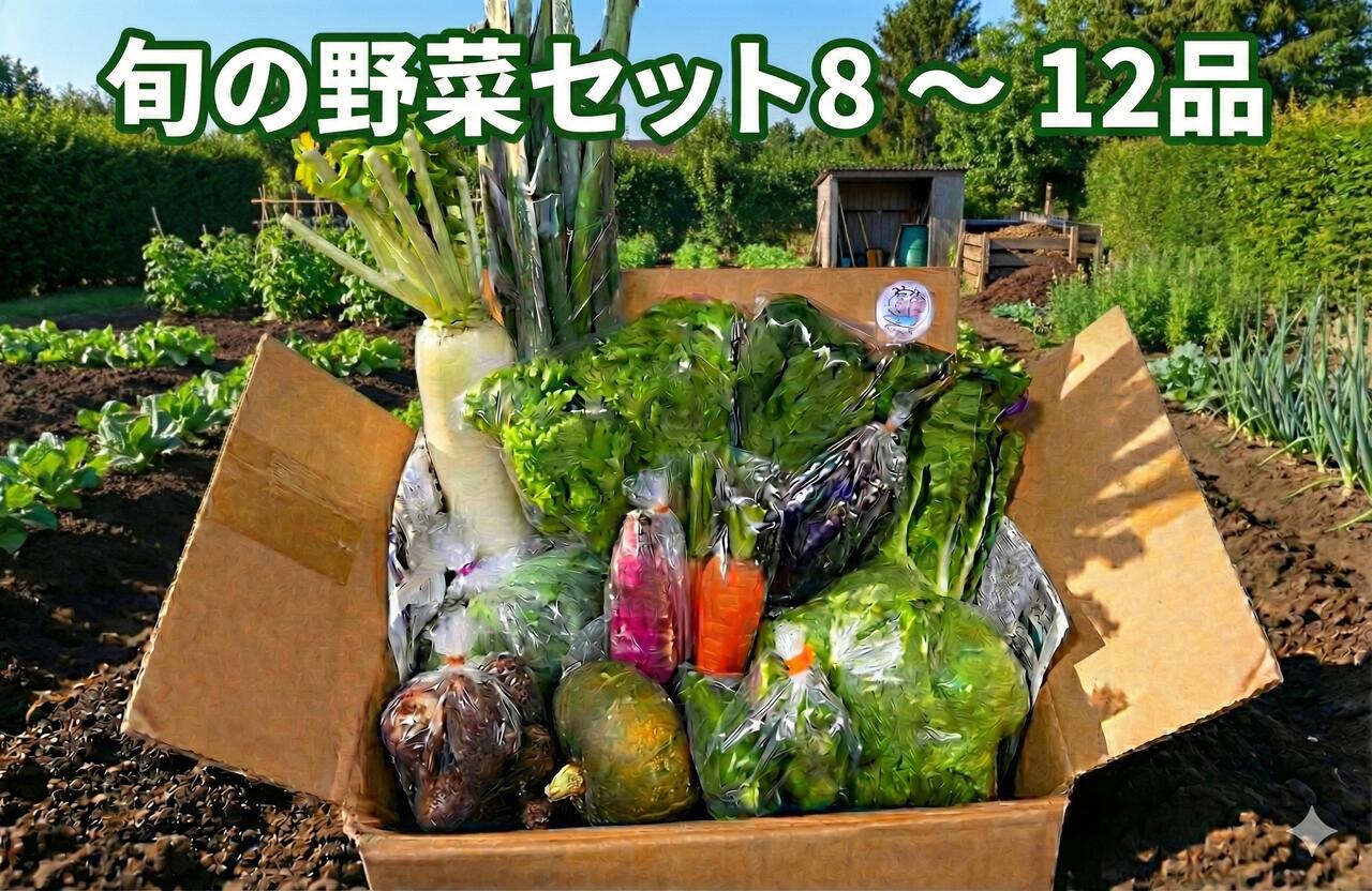 野菜 セット 8 〜 12品 旬 の 湘南野菜 おまかせ セット お任せ 詰め合わせ 野菜セット やさい やさいセット yasai きゅうり トマト なす ねぎ さといも 小松菜 白菜 玉ねぎ ヤサイ 旬の野菜セット 新鮮 数量限定 亀井農園 神奈川 湘南 藤沢