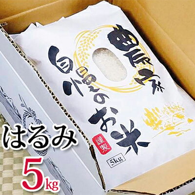 【ふるさと納税】湘南藤沢のお米『はるみ』5kg　【 米 はるみ 5kg 精米 】