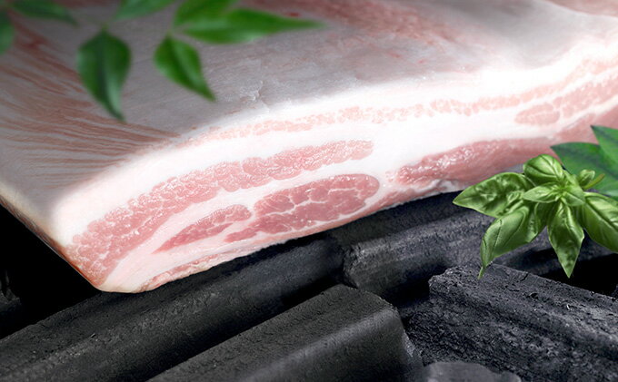 バラ ブランド豚『みやじ豚 しゃぶしゃぶ用 セット バラ・もも(1.1kg)』しゃぶしゃぶ肉 すき焼き 鍋 :神奈川県藤沢市 について - shineray.com.br バラ ブランド豚『みやじ豚 しゃぶしゃぶ用 セット バラ・もも(1.1kg)』しゃぶしゃぶ肉 すき焼き 鍋 :神奈川県藤沢市 について - shineray.com.br