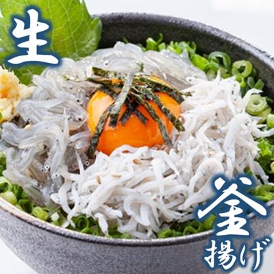 しらす 問屋 とびっちょ 生しらす 釜揚げしらす セット　【 しらす干し 】