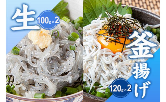 【ふるさと納税】 生しらす 釜揚げしらす 計440g ~920g 選べる 内容 魚 釜揚げ 生 シラス 湘南しらす sirasu じゃこ ちりめん しらす干し 江の島しらす カタクチイワシ イワシ 小分け 海鮮 魚介 魚貝 小魚 海鮮 冷凍 セット 贈答 江の島 江ノ島 とびっちょ 神奈川 湘南 藤沢