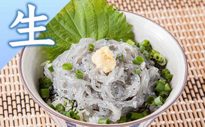 【ふるさと納税】 生しらす 釜揚げしらす 計440g ~920g 選べる 内容 魚 釜揚げ 生 シラス 湘南しらす sirasu じゃこ ちりめん しらす干し 江の島しらす カタクチイワシ イワシ 小分け 海鮮 魚介 魚貝 小魚 海鮮 冷凍 セット 贈答 江の島 江ノ島 とびっちょ 神奈川 湘南 藤沢