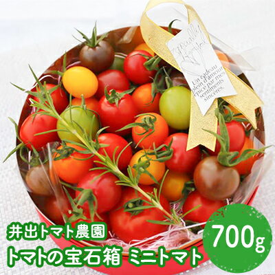 [井出トマト農園]トマトの宝石箱 [野菜・ミニトマト]