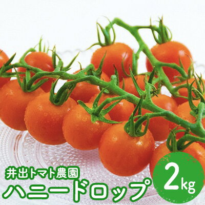 17位! 口コミ数「0件」評価「0」トマト 井出トマト農園 ハニードロップ 2kg 　【 フルーツトマト ミニトマト 野菜 】　お届け：2023年10月10日から順次発送