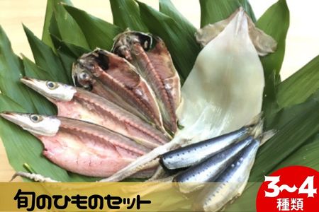 旬のひものセット3〜4種 伝統200年の味 鈴伝商店 [魚貝類・干物]