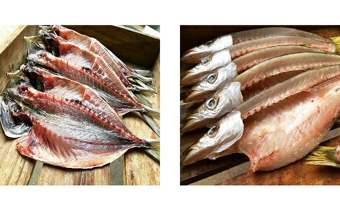 【ふるさと納税】 国産 干物 3〜4種 セット 旬 ひもの セット 旬の魚 魚 魚介 海の幸 酒 ビール himono イカ あじ かます 日本酒 おつまみ 弁当 惣菜 おかず 米 ご飯 ご飯のお供 冷蔵 母の日 父の日 プレゼント ギフト 贈り物 贈答 伝統200年の味 鈴伝商店 神奈川 湘南 藤沢