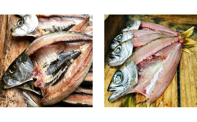 【ふるさと納税】 国産 干物 3〜4種 セット 旬 ひもの セット 旬の魚 魚 魚介 海の幸 酒 ビール himono イカ あじ かます 日本酒 おつまみ 弁当 惣菜 おかず 米 ご飯 ご飯のお供 冷蔵 母の日 父の日 プレゼント ギフト 贈り物 贈答 伝統200年の味 鈴伝商店 神奈川 湘南 藤沢