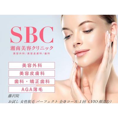 お試し 女性脱毛 パーフェクト 全身コース 1回 VIO 顔含む 藤沢院/SBC 湘南 美容 クリニック ふるさと納税 脱毛 医療 レーザー 利用券 チケット 神奈川県 藤沢市 [ 医療脱毛 全身脱毛 体毛 悩み ]