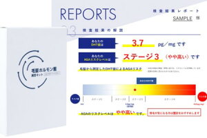 【ふるさと納税】AGAによる薄毛リスクが、髪の毛数本でわかる！【毛髪ホルモン量測定キット（DHT）】 【 髪の悩み 男性 検査キット 男性型脱毛症 生え際 頭頂部 ボリューム 抜け毛 ケア 早期対策 】