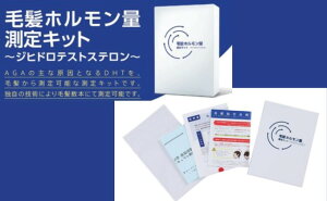 【ふるさと納税】AGAによる薄毛リスクが、髪の毛数本でわかる！【毛髪ホルモン量測定キット（DHT）】 【 髪の悩み 男性 検査キット 男性型脱毛症 生え際 頭頂部 ボリューム 抜け毛 ケア 早期対策 】