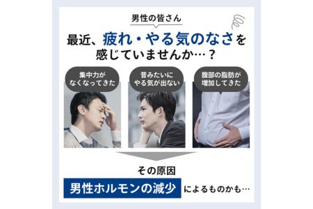 【ふるさと納税】男性更年期のセルフチェックに!筋トレなどの運動の成果確認に!!【毛髪ホルモン量測定キット～テストステロン～】　【 健康 男性ホルモン 検査キット 4段階評価 毛髪ホルモン検査 更年期チェック 】 2