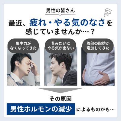 男性更年期のセルフチェックに!筋トレなどの運動の成果確認に!![毛髪ホルモン量測定キット〜テストステロン〜] [ 健康 男性ホルモン 検査キット 4段階評価 毛髪ホルモン検査 更年期チェック ]