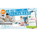 郵送検査・遺伝子検査キット人気ランク8位　口コミ数「0件」評価「0」「【ふるさと納税】慢性ストレスレベルを数値で見える化!!【ストレスホルモン量検査キット（毛髪）～コルチゾール～】　【 検査キット 健康 】」