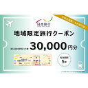 【ふるさと納税】日本旅行　地域限定クーポン【30000円分】　【 チケット 旅行クーポン クーポン券 宿泊費 交通費 観光 体験 精算 お出かけ 冬休み 夏休み 】