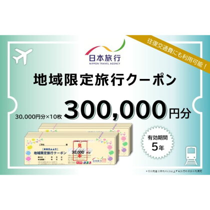 日本旅行　地域限定クーポン【300000円分】　【 チケット 旅行クーポン クーポン券 宿泊費 交通費 観光 体験 精算 お出かけ 冬休み 夏休み 】