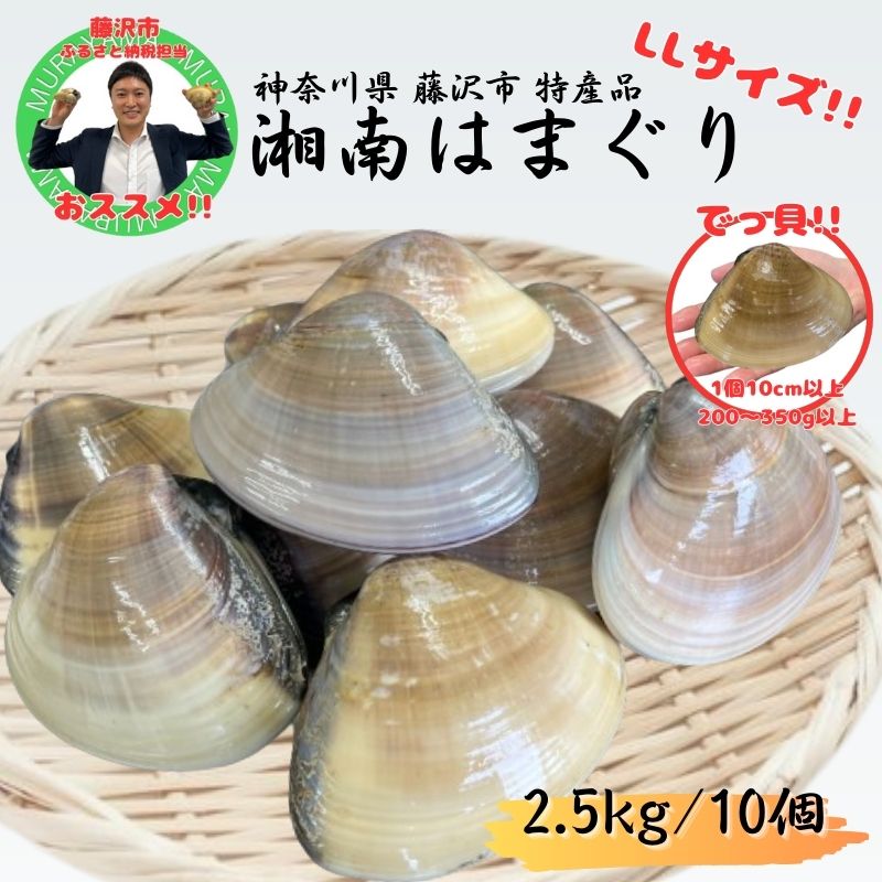 2位! 口コミ数「0件」評価「0」湘南はまぐり LLサイズ 10個 2.5kg 冷凍 焼き蛤 酒蒸し お吸い物　炊き込みご飯 パスタ　【藤沢市】