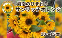 神奈川県藤沢市の画像2