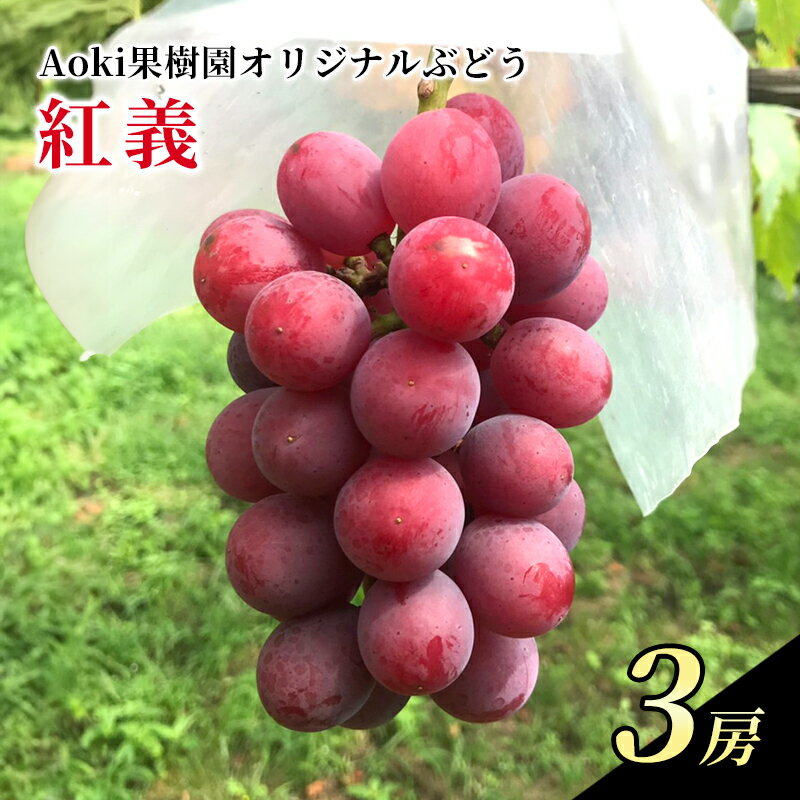【ふるさと納税】 ぶどう 紅義 3房 当園開発の赤ブドウ ブドウ 葡萄 赤ブドウ 種無し 果物 くだもの フルーツ 旬のフルーツ デザート 高糖度 新鮮 高級 お中元 ギフト プレゼント 贈答 神奈川 湘南 藤沢