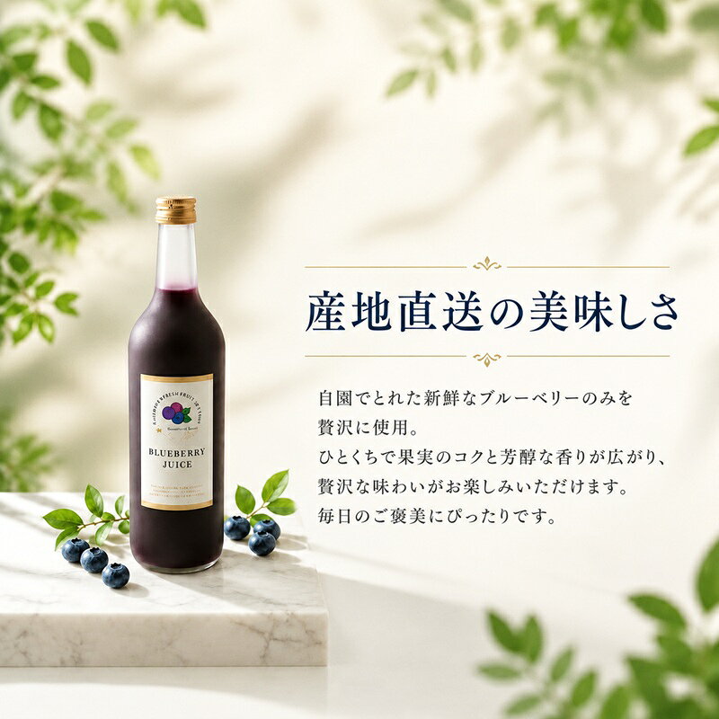 【ふるさと納税】 ブルーベリージュース 750mL 2本セット フルーツジューズ 果物ドリンク くだもの 果物 果汁 ふるうつ フルーツドリンク ソフトドリンク じゅーず ぶるーべりー デザート blueberry 国産 ソース 厳選 詰め合わせ 藤沢ブルーベリーファーム 湘南 神奈川 藤沢 f142051-fujisawa-10001381 神奈川県藤沢市 サンプル画像2