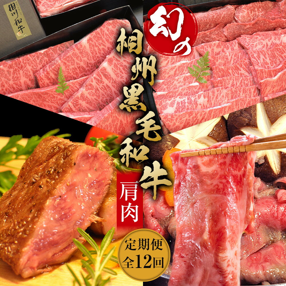 【ふるさと納税】牛肉 定期便 12回 幻の相州黒毛和牛肩肉 1.2kg×12回 計14.4kg【相州黒毛和牛 相州牛 幻の牛肉 極上の旨味と風味 キメ細かな上質...