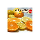 【ふるさと納税】【先行予約】各月おすすめ柑橘詰め合わせ5kg箱<出荷開始:2026年1月15日~4月25日>【 フルーツ 神奈川県 小田原市 】