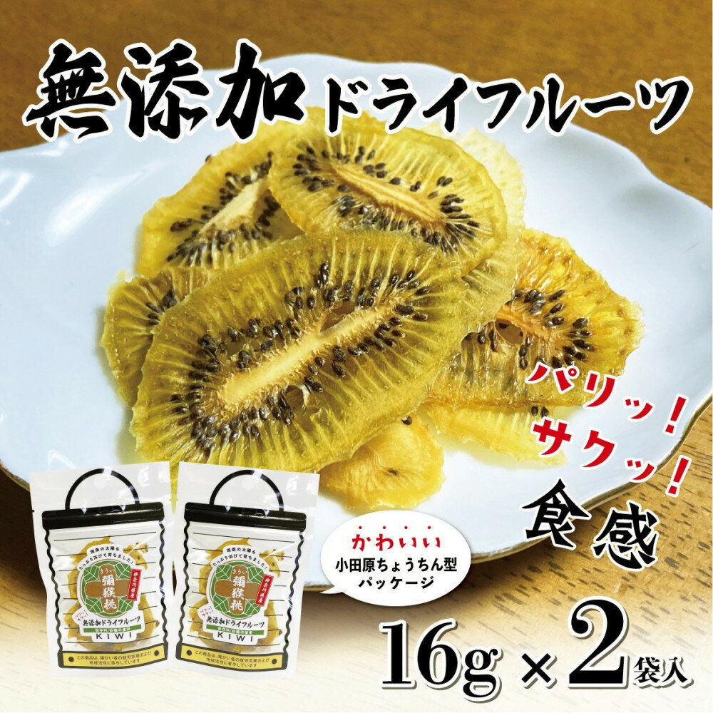 【ふるさと納税】無添加ドライフルーツ(キウイ)16g×2袋入【 神奈川県小田原市 】