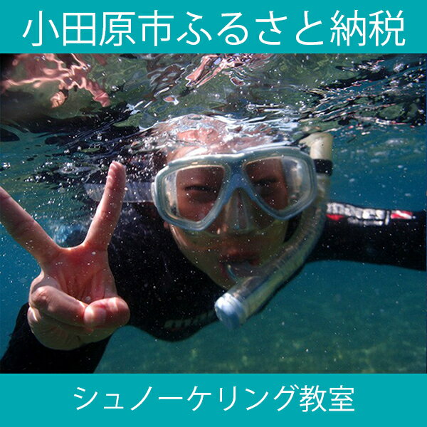 【ふるさと納税】海の中をのぞいてみよう！シュノーケリング教室【海 シュノーケリング レンタル ダイビングスクール シュノーケリング教室 水着とタオルだけ 送迎付き シュノーケリング教室【1日】ご招待券1名様分 神奈川県 小田原市 】