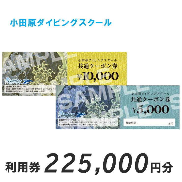 【ふるさと納税】小田原ダイビングスクール 共通クーポン券 225,000円分【225,000円分クーポン券 小田原でダイビング ダイビングスクール 1万円クーポン券22枚 5千円クーポン券1枚 ライセンス講習 神奈川県 小田原市 】