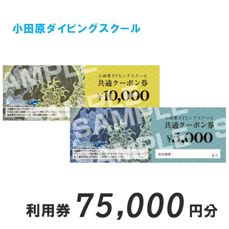 【ふるさと納税】小田原ダイビングスクール共通クーポン券 75,000円分【75,000円分クーポン券 小田原でダイビング ダイビングスクール 1万円クーポン券7枚 ライセンス講習 ダイビングライフ 5千円クーポン券1枚 神奈川県 小田原市 】