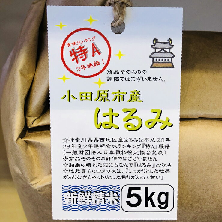 【ふるさと納税】 志村屋米穀店 令和5年産新米小田原市産　はるみ　15kg（5kgx3）＜出荷時期：10月中旬より順次出荷開始＞【おこめ 米 コメ こめ はるみ 特A 贈答用 ご家庭で 贈り物 クラフト袋入り 神奈川県 小田原市 】