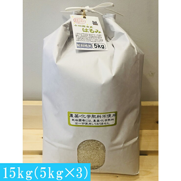 【ふるさと納税】 志村屋米穀店 令和5年産小田原市産 農薬・化学肥料不使用はるみ 15kg（5kgx3）＜出荷時期：10月中旬より順次出荷開始＞【おこめ 米 コメ こめ はるみ 特A 贈答用 ご家庭で 贈り物 クラフト袋入り 神奈川県 小田原市 】