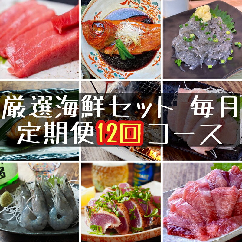 【ふるさと納税】 【定期便12ヶ月】まぐろや　特別セット【 惣菜 まぐろ 鮪 本鮪 サーモン 海老 お刺...