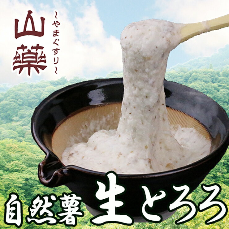 自然薯の味をお楽しみください。自然薯生とろろ100g×5pセット[とろろ 極上とろろ 山芋 箱根 お家用 家庭用 国産 セット商品 自然薯 味付とろろ 神奈川県 小田原市 ]