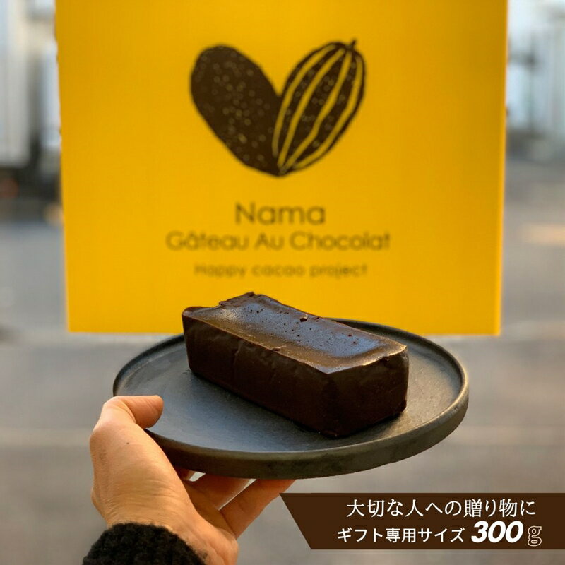 【ふるさと納税】幸せの生ガトーショコラ ミニサイズ【チョコレート 特濃厚 濃密な味わい 極上の口溶...