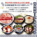 24位! 口コミ数「0件」評価「0」【高級食材本マグロ、曽我の梅干し、小田原地あじ、小田原港直送地魚丼、大磯港直送、湘南生しらす】小田原海鮮丼の具（6種セット）【本まぐろ丼 小･･･ 