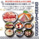 13位! 口コミ数「0件」評価「0」【高級食材本マグロ、曽我の梅干し、小田原地あじ、小田原港直送地魚丼、大磯港直送、湘南生しらす】小田原海鮮丼の具（8種セット）【本まぐろ丼 小･･･ 