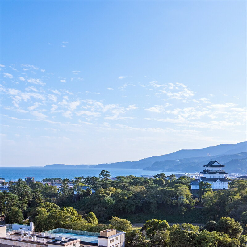 【ふるさと納税】土日祝日OK！1泊2食付宿泊プラン2名様◆天然温泉浴場ご利用含む◆【 チケット 神奈川県 小田原市 】