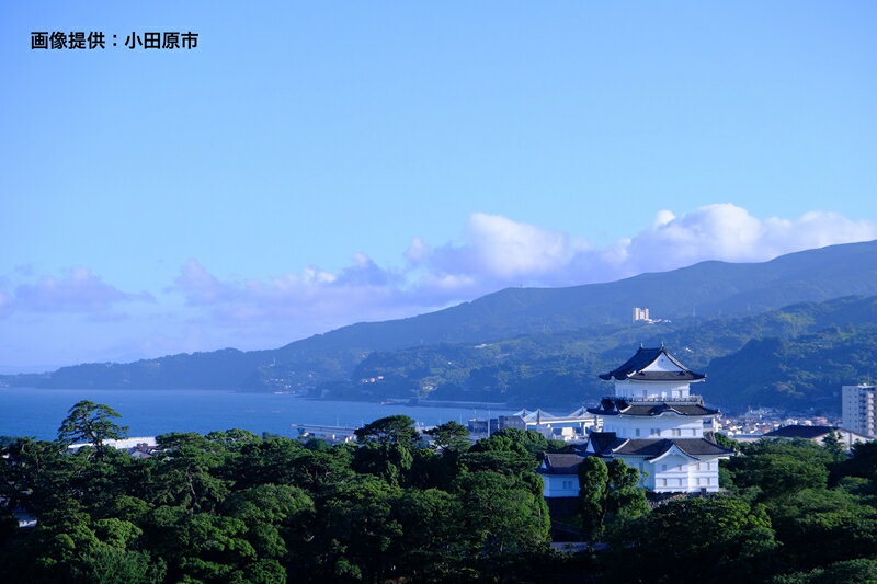 【ふるさと納税】【小田原市上空周遊！！】ヘリコプター遊覧チケット（東京ヘリポート発）【 体験・利用券 神奈川県 小田原市 】