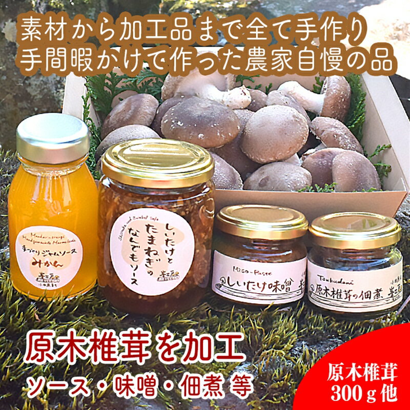 原木生椎茸と椎茸のソース&味噌&佃煮、椎茸の廃ホダを肥料に育ったみかんジャムのセット[家庭用 自宅用 贈答品 贈答用 ギフト お取り寄せ お中元 お歳暮 贈り物 お祝い 神奈川県 小田原市 ]