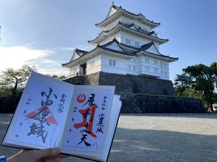 小田原城御城印・御城印帳セット[小田原 小田原城 御城印 三鱗 家紋 北条氏 摩利支天 小田原城オリジナル 蛇腹式製本 来城記念 登城記念 記念品 大久保氏 朱印 虎朱印 印判 シンプルデザイン 神奈川県 小田原市 ]