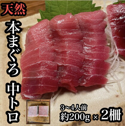 貴重な天然本鮪 中トロ 約200g 2柵　約3〜4人前●くどくない上質な脂が美味しい！【とろ マグロ 惣菜 海鮮 お取り寄せ 御中元 お中元 お歳暮 父の日 母の日 贈り物 日本酒 焼酎】【神奈川県小田原市早川】