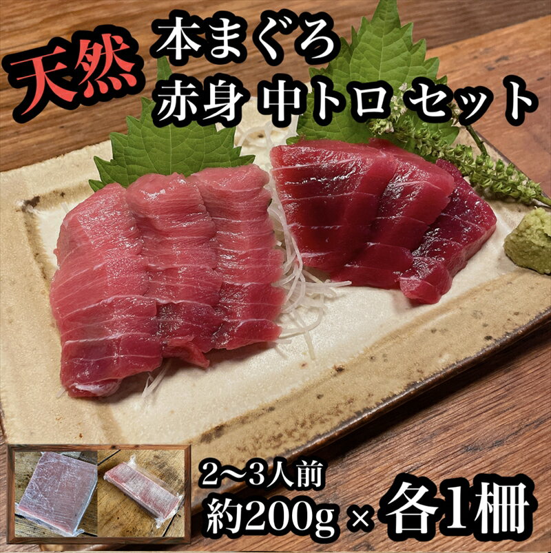 【ふるさと納税】貴重な天然本鮪 赤身 約200g 中トロ 約200g 各1柵 2〜3人前●赤身はマグロの中心部天身..