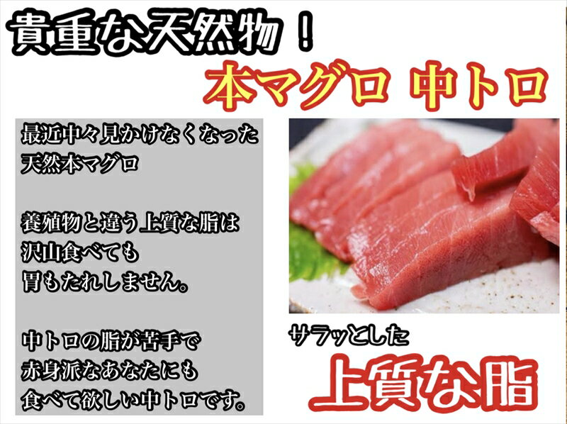 【ふるさと納税】貴重な天然本鮪 赤身 約200g 中トロ 約200g 各1柵 2〜3人前●赤身はマグロの中心部天身を使用！中とろの脂はくどくない上質な脂！【赤身 天身 惣菜 海鮮 お取り寄せ 御中元 お中元 お歳暮 父の日 母の日 贈り物 日本酒 焼酎】【神奈川県小田原市早川】