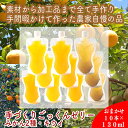 【ふるさと納税】手づくりごっくんゼリー 10本セット 130ml みかん2種(グラニュー糖と粗糖)、 キウイ(グラニュー糖)【 家庭用 自宅用 贈答品 贈答用 ギフト お取り寄せ お中元 お歳暮 贈り物 お祝い 神奈川県 小田原市 】