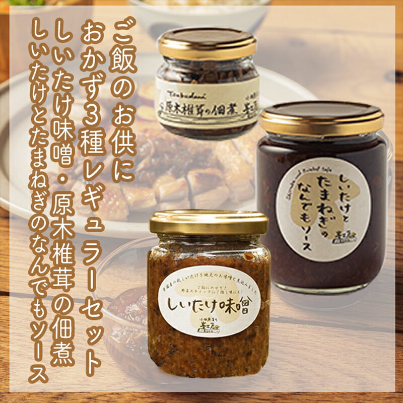 【ふるさと納税】ご飯のお供に。おかず3種レギュラーセット【 家庭用 自宅用 贈答品 贈答用 ギフト お取り寄せ お中元 お歳暮 贈り物 お祝い 神奈川県 小田原...