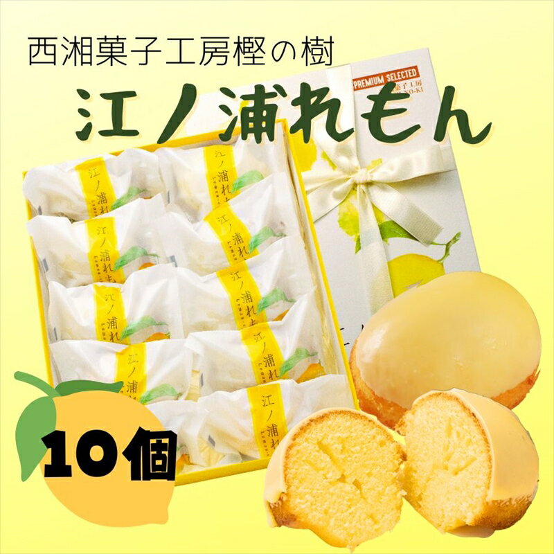 20位! 口コミ数「0件」評価「0」西湘菓子工房樫の樹　江ノ浦れもん10個入りギフト 【 お菓子 スイーツ 神奈川県 小田原市 】