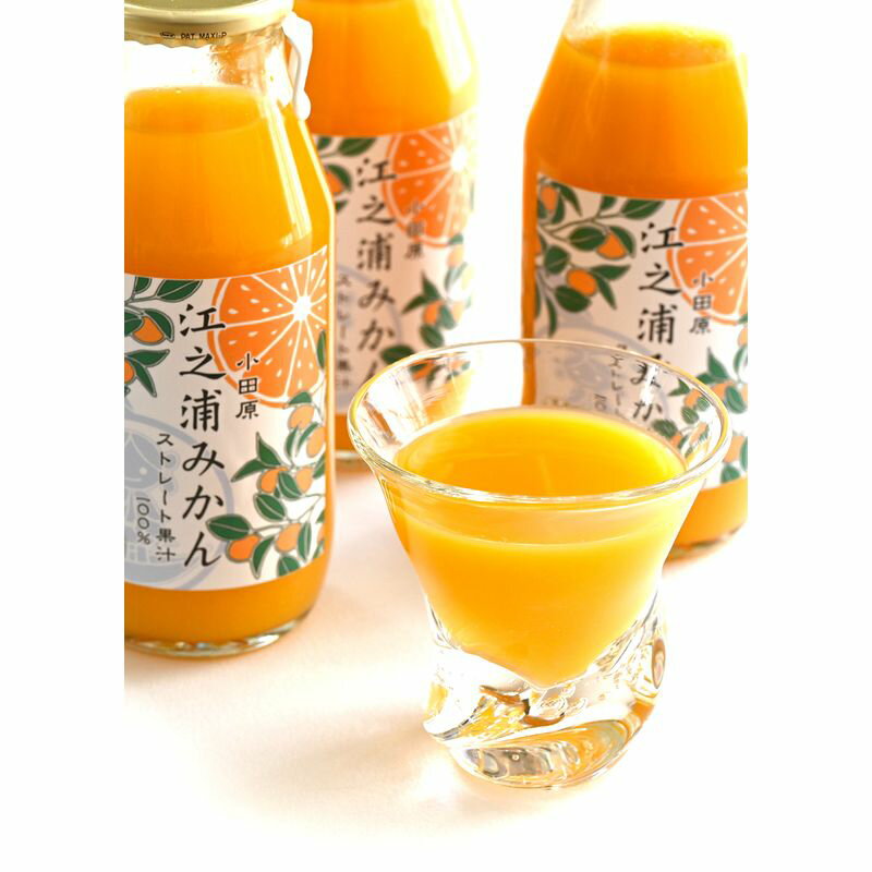 【ふるさと納税】小田原産江之浦みかん100％ストレートジュース180ml12本【 みかんジュース 神奈川県 小田原市 】